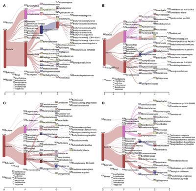 Impacts of soybean agriculture on the resistome of the Amazonian soil